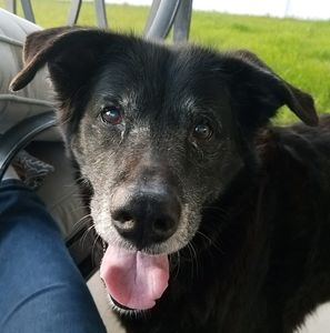 Meet your Posher, Jayne